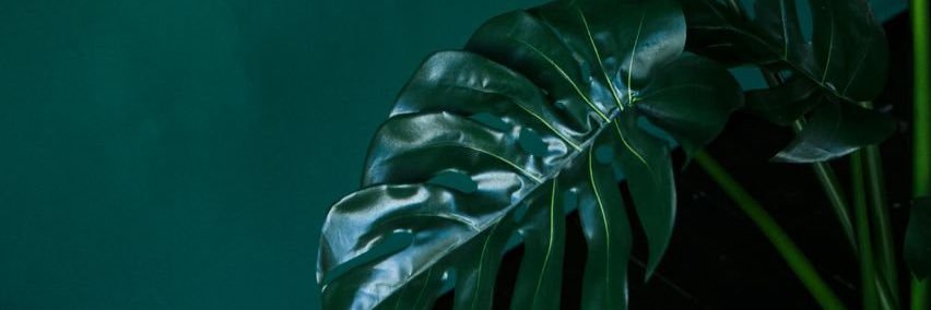 take_meds's profile banner image