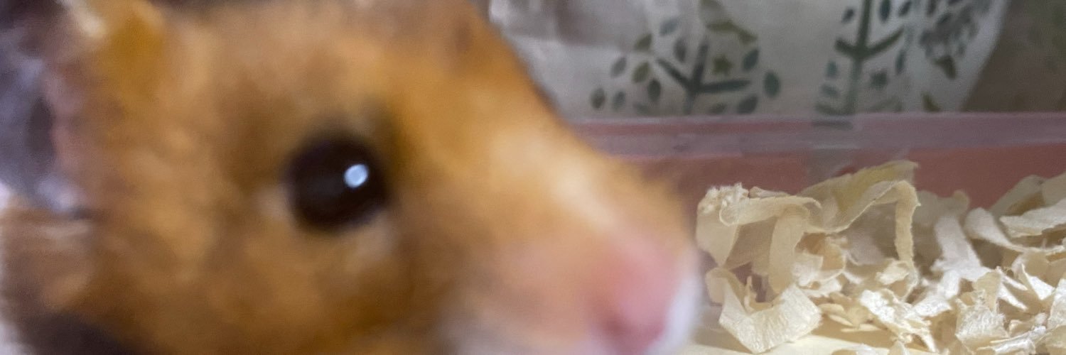 4rusub's profile banner image