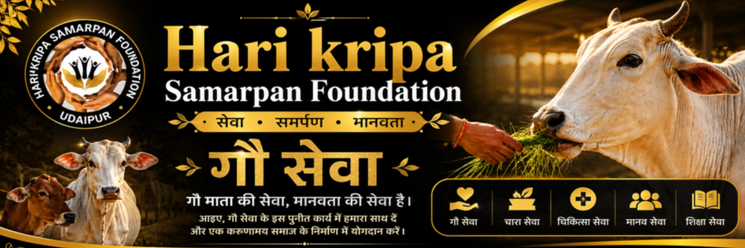HKS__Foundation's profile banner image