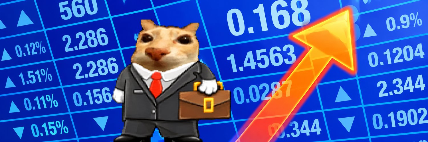 STONKSKITTY_SOL's profile banner image