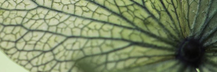 rsdanc's profile banner image