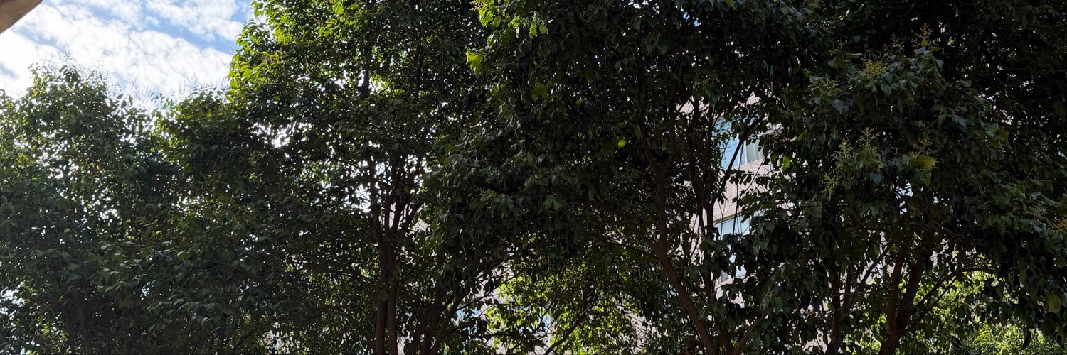 Kiyoung080's profile banner image