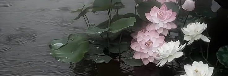 nffwht's profile banner image