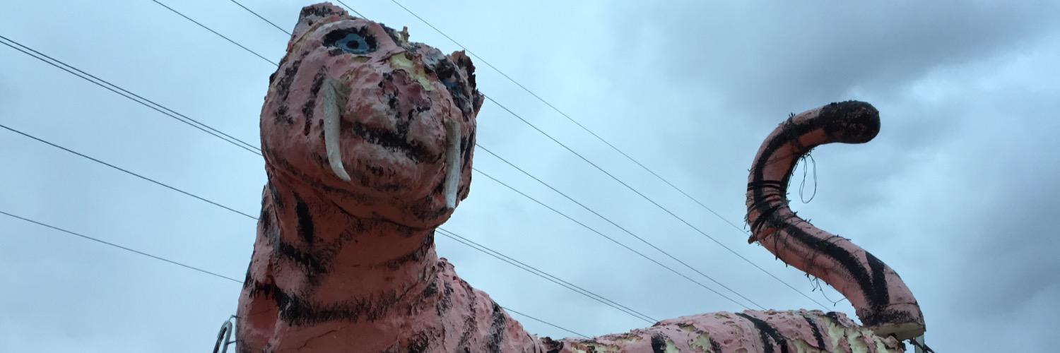 conspecific's profile banner image