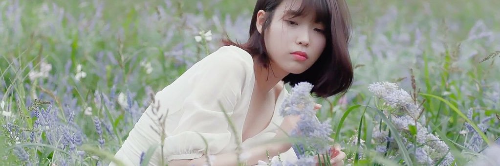 SuLLieLin's profile banner image