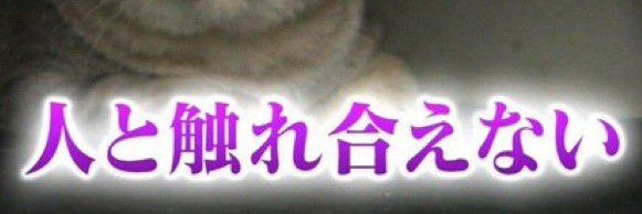 09___Yuikk's profile banner image