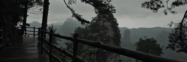 Lcfrr677's profile banner image