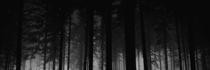 dickgirllady's profile banner image