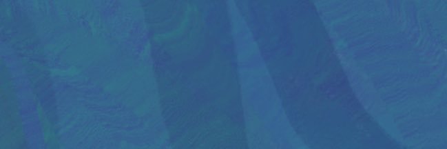 ilililys's profile banner image