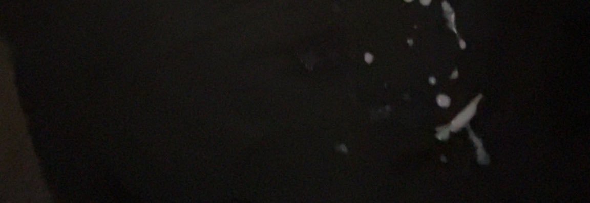 goonmaxxer2's profile banner image