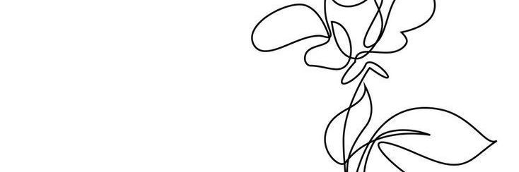 aybukeceylan's profile banner image