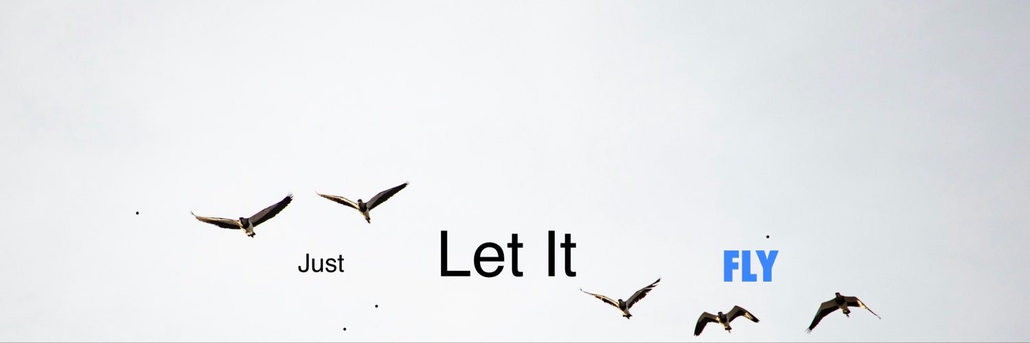 LetItFlyonX's profile banner image
