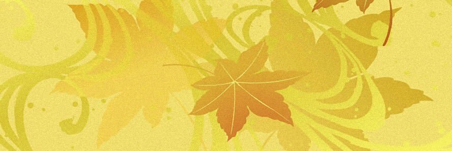 birdheads's profile banner image
