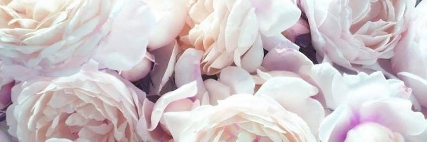 _Romantique_'s profile banner image