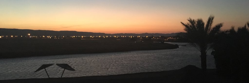 amyheaney_'s profile banner image