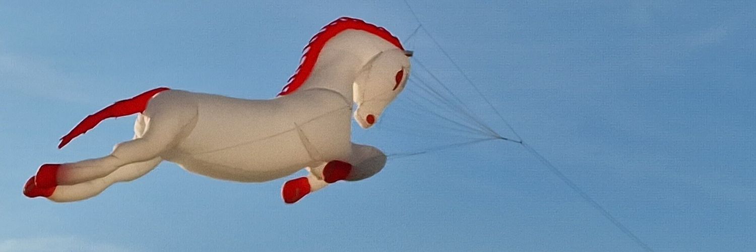 Herman Plattje banner