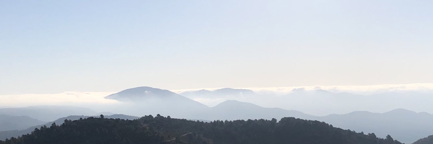 Mavi3a's profile banner image