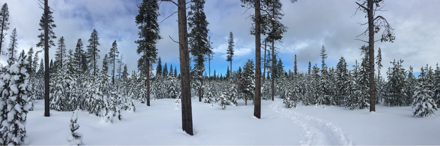 SarahOUaL's profile banner image