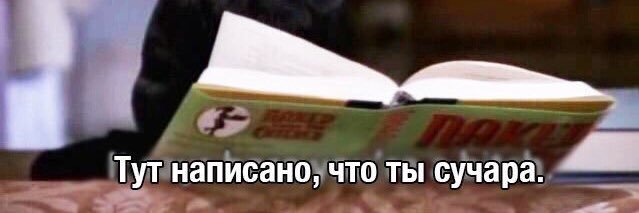 оля вишникова banner