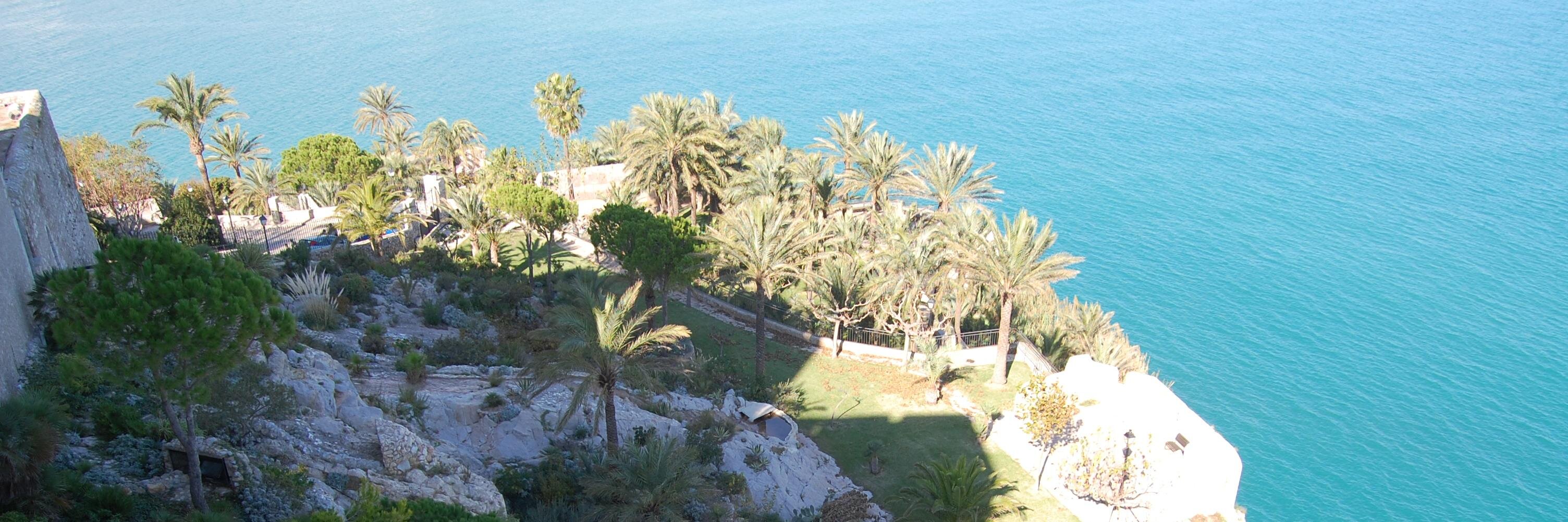 Maria Olmos Marin banner