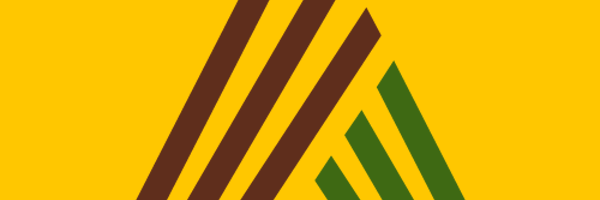 naderafzalan Profile Banner