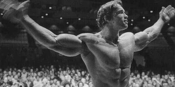 bartwagner's profile banner image