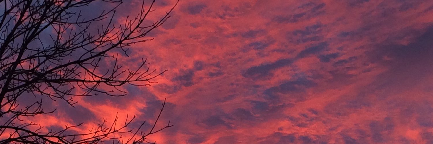 HeatherProsak's profile banner image
