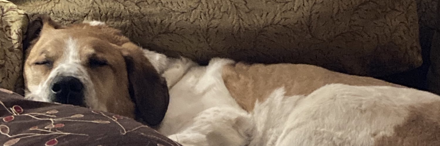 Michelle G Schroeder banner