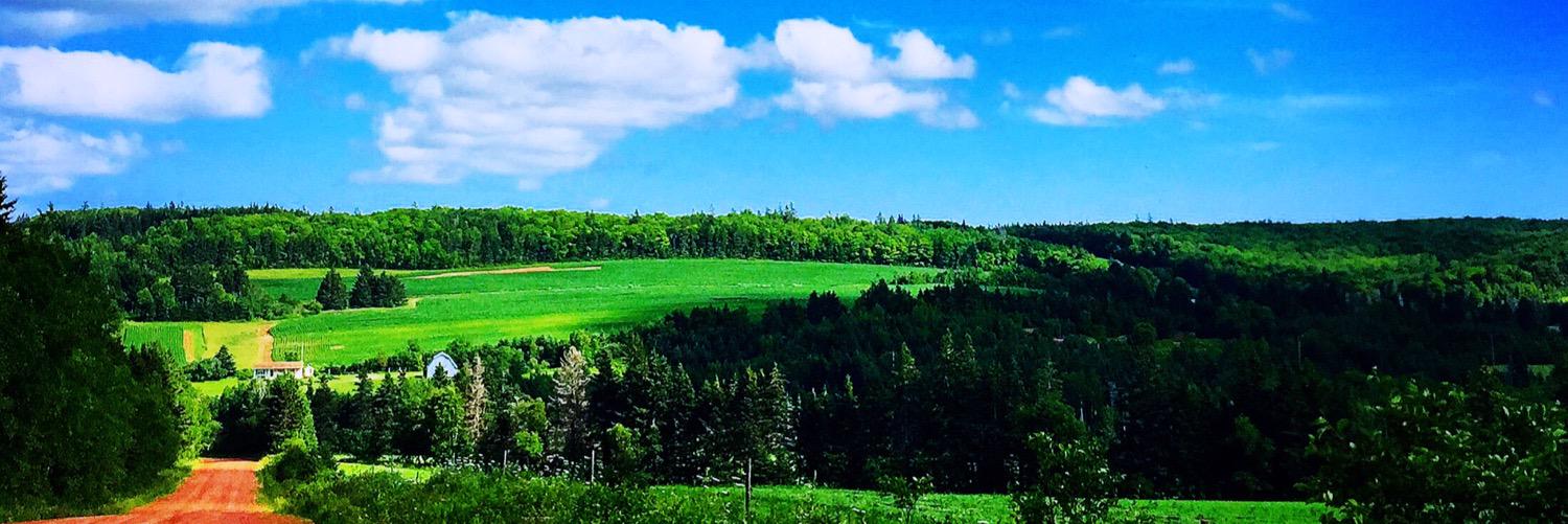 markwongphd's profile banner image
