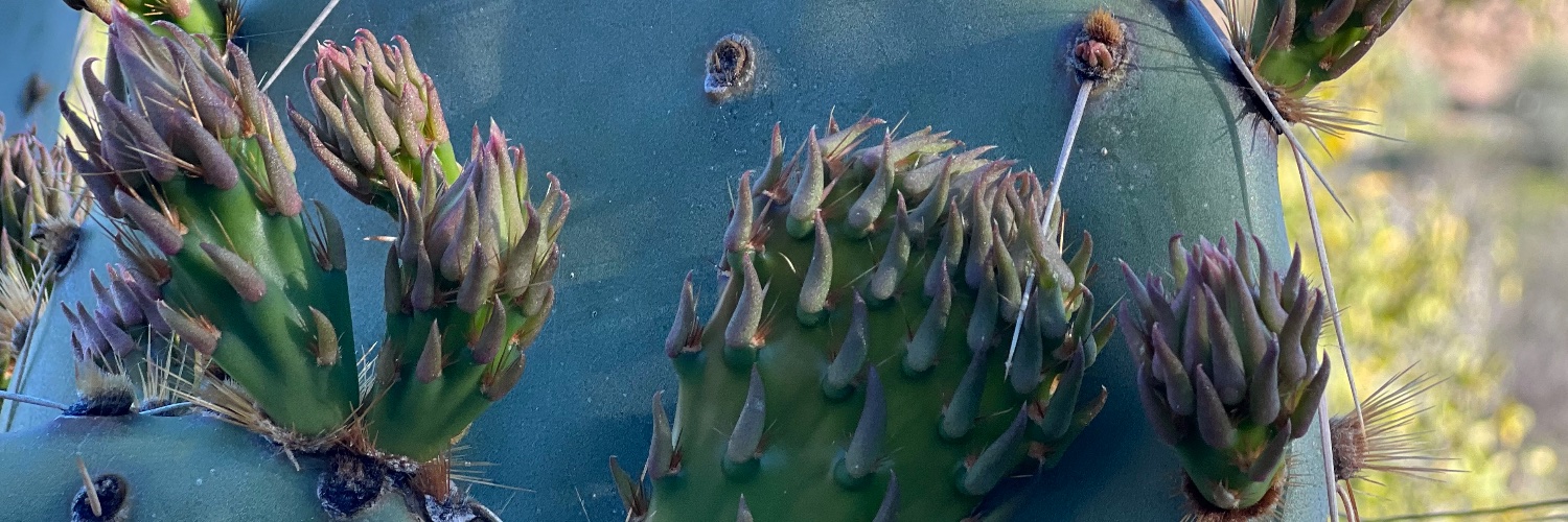 Kelly G Wilson -- loving poetry and psychotherapy banner