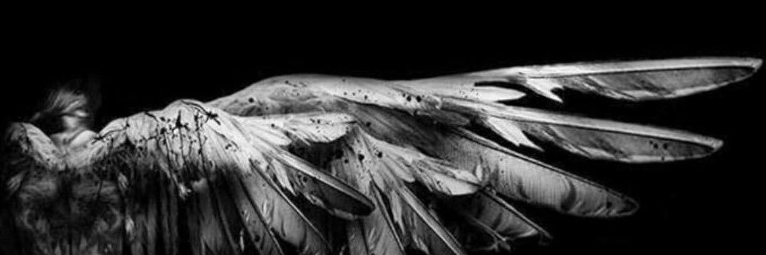 bloodeskin's profile banner image