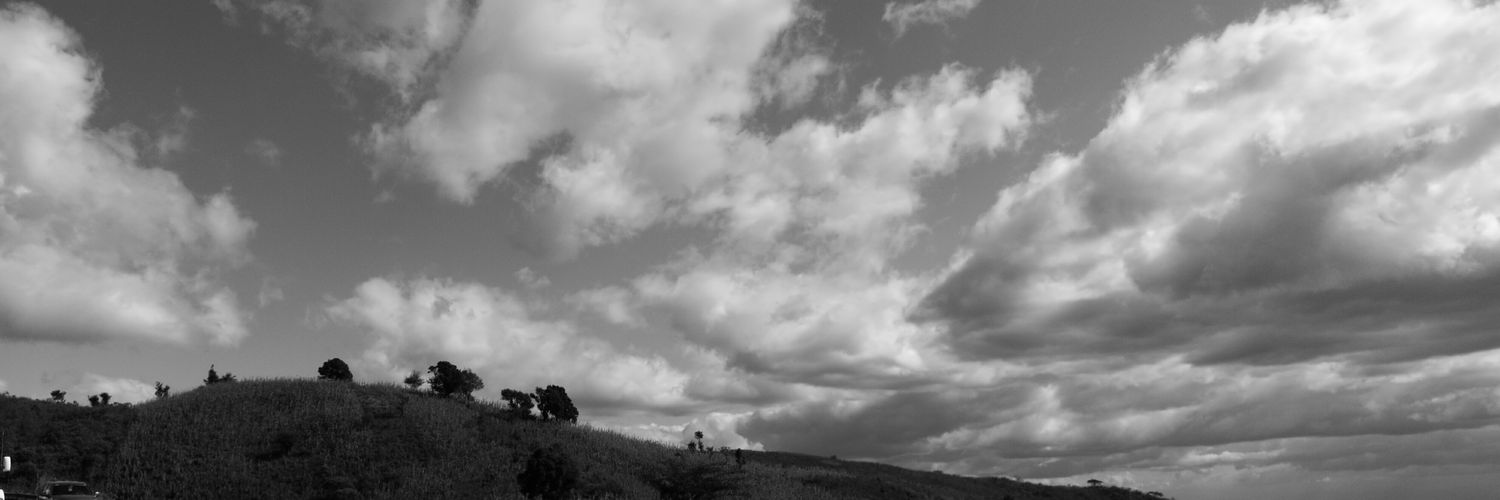aa_Liebert's profile banner image