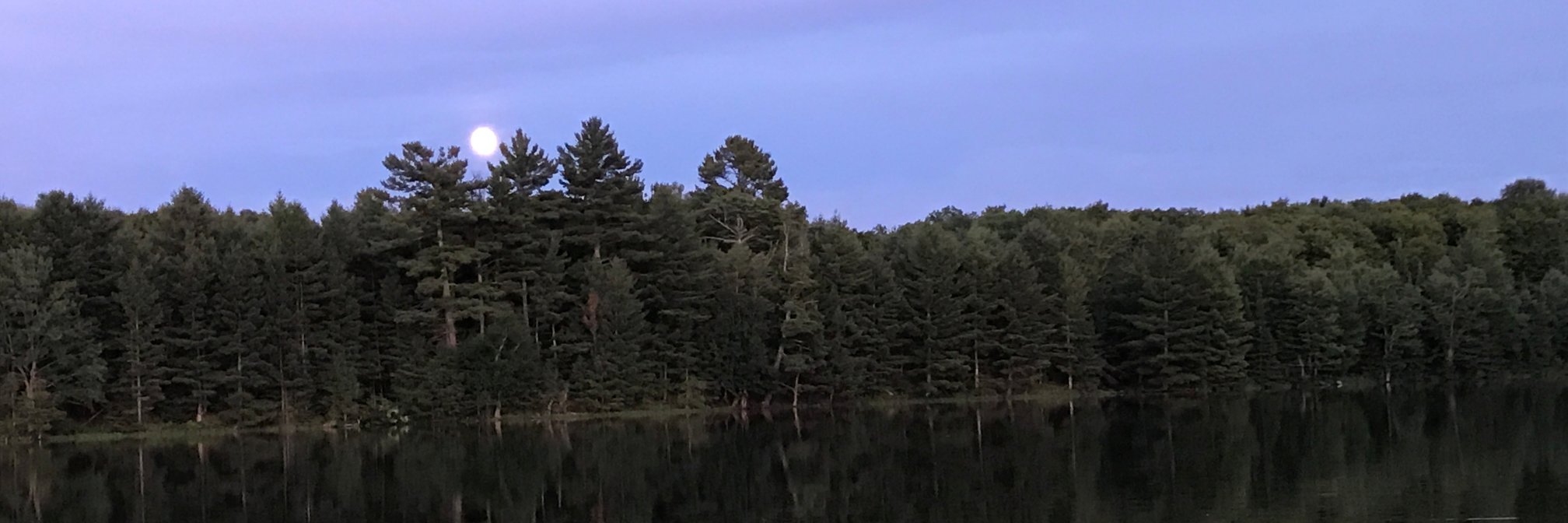 KfergPT's profile banner image