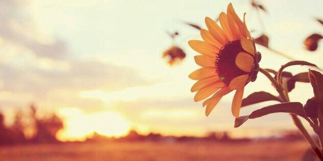 KristenLynn95's profile banner image