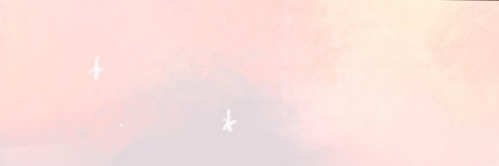 🫧🤍Becca 베카⋆₊˚ ⋅♡ banner
