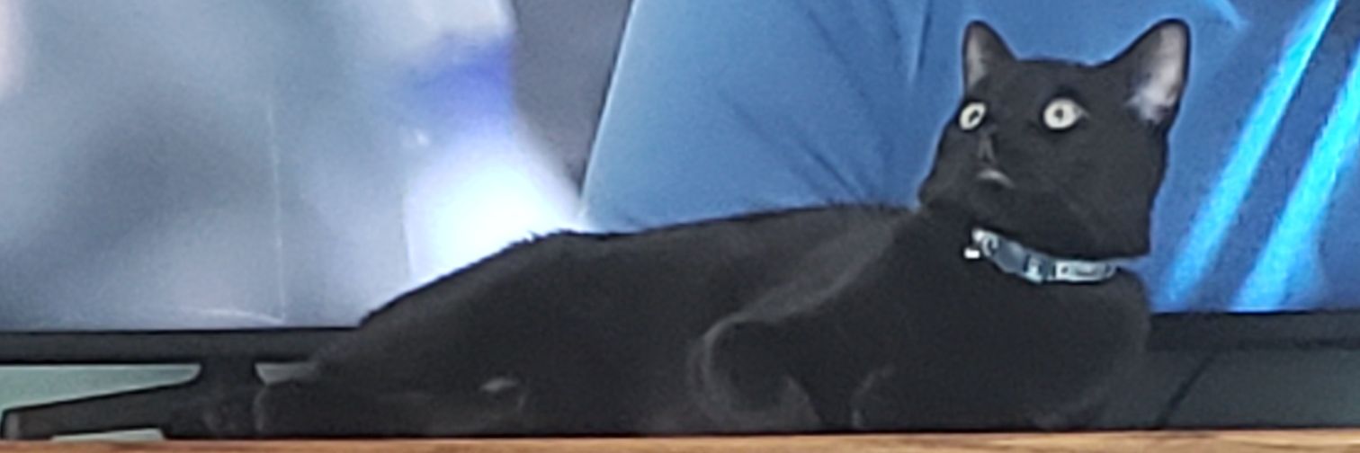 mAliceTots's profile banner image