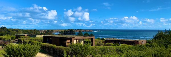 cokep Profile Banner