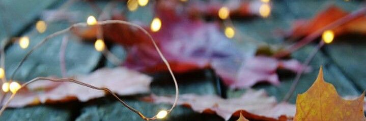 Sarah Pope banner