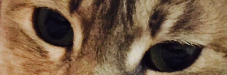 isar88888's profile banner image