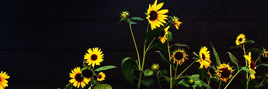 AreVigoritto's profile banner image