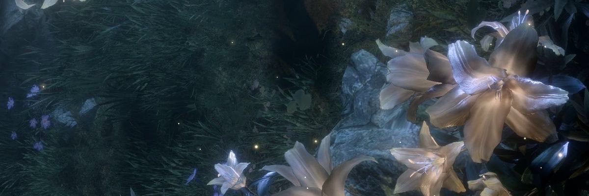 cattki13's profile banner image