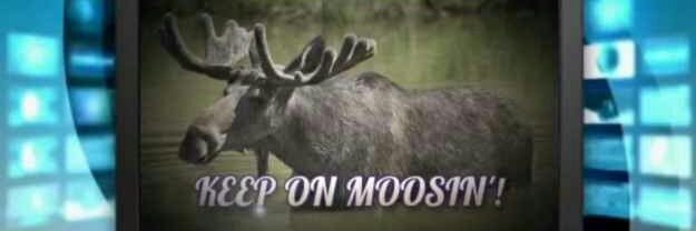 Josh Levesque's banner