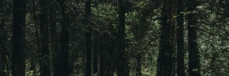 gonapvploh's profile banner image