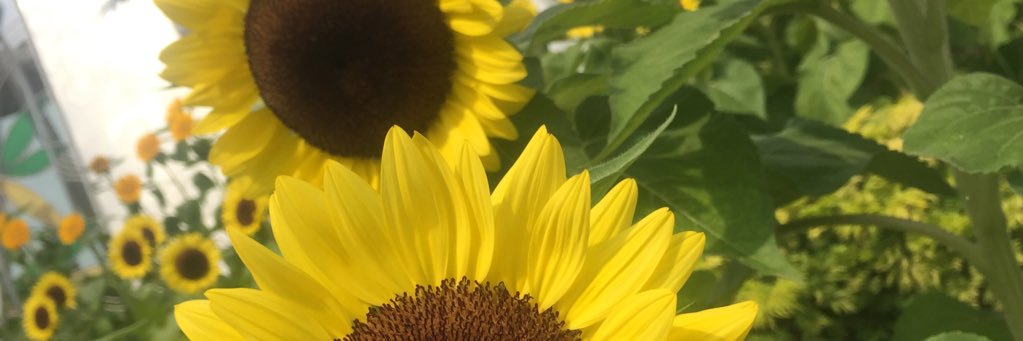 _ohhemmgee's profile banner image