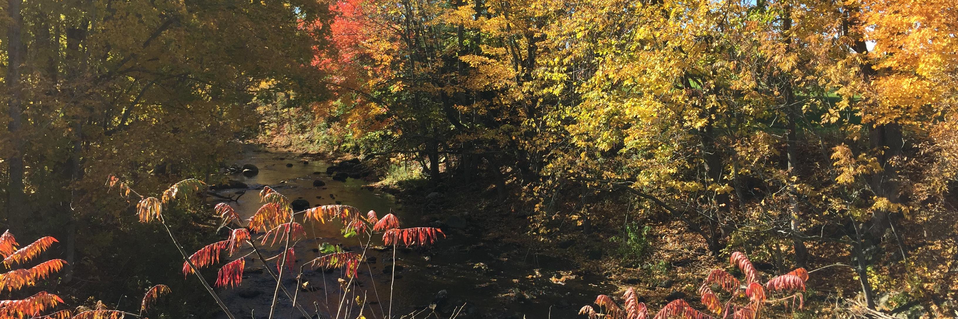ILovJedi's profile banner image
