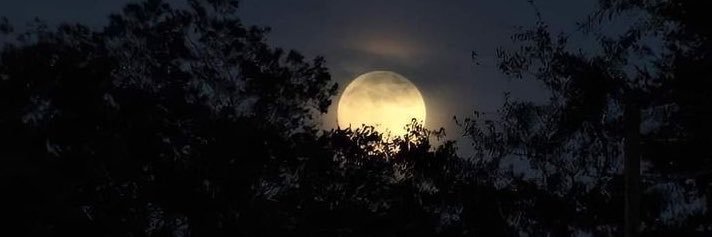 abaq_77's profile banner image