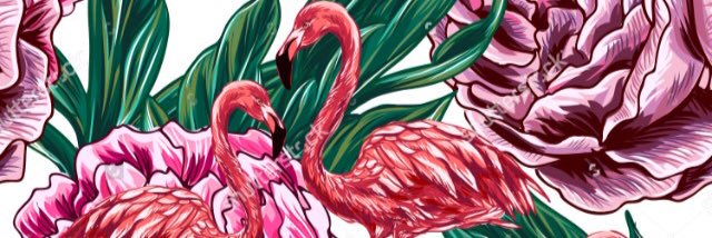 TacyCarter's profile banner image