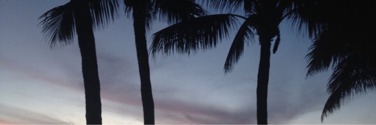 LexiMiller_'s profile banner image