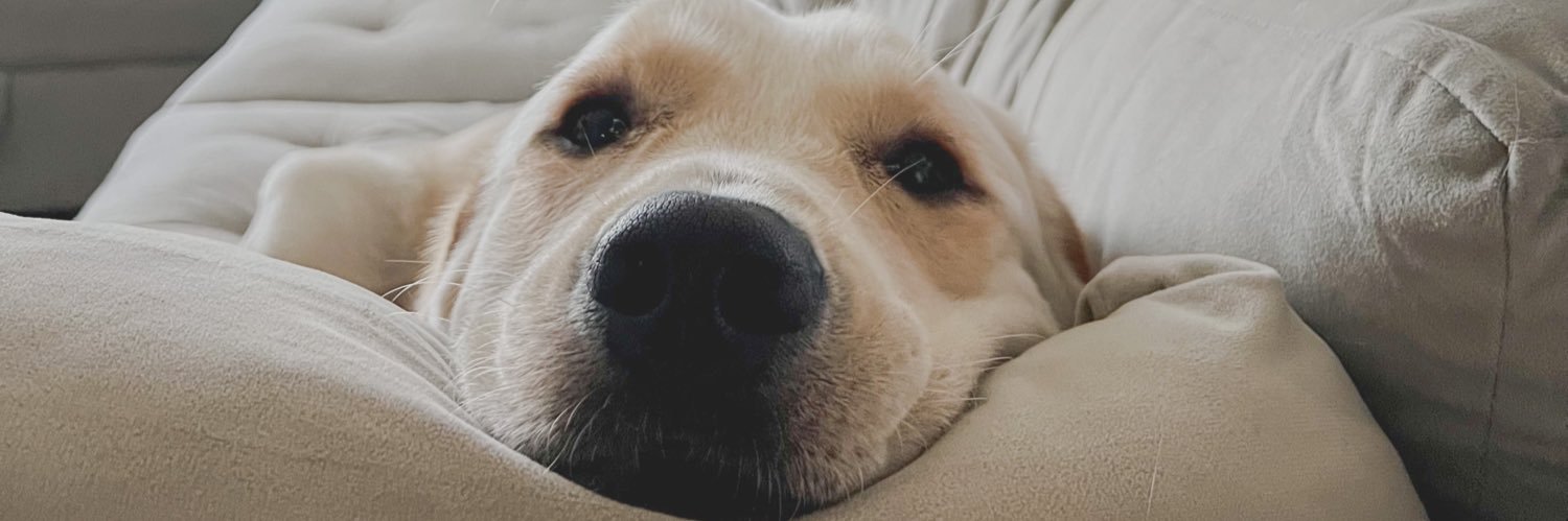 caassiiddyyy's profile banner image