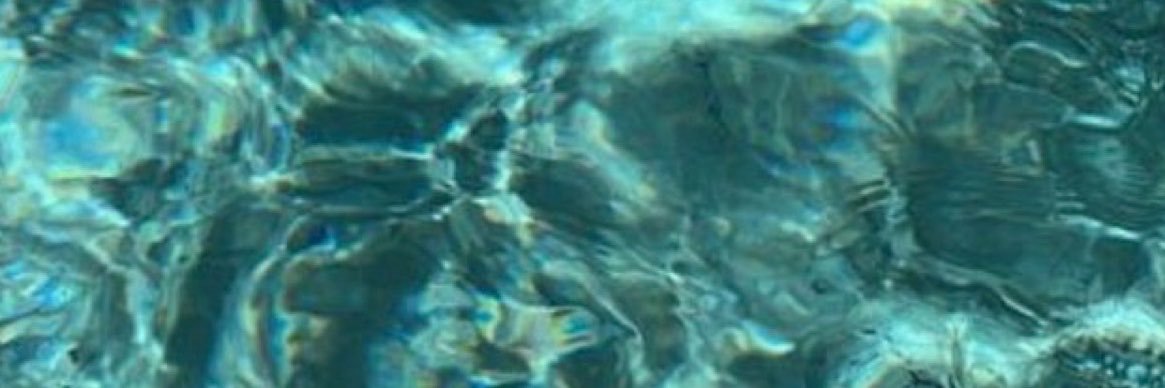 Samiliax's profile banner image